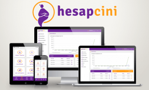 web tabanlı muhasebe programı